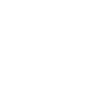 Kinesiología Emocional 